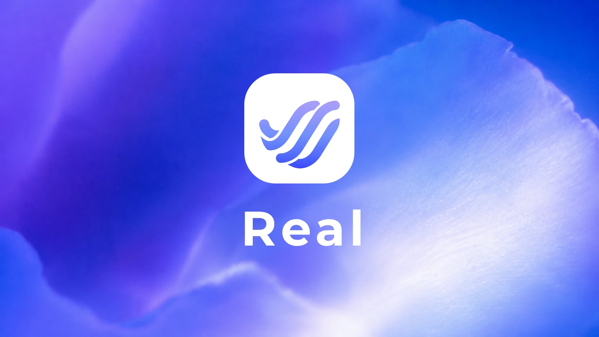 Project Real interface preview